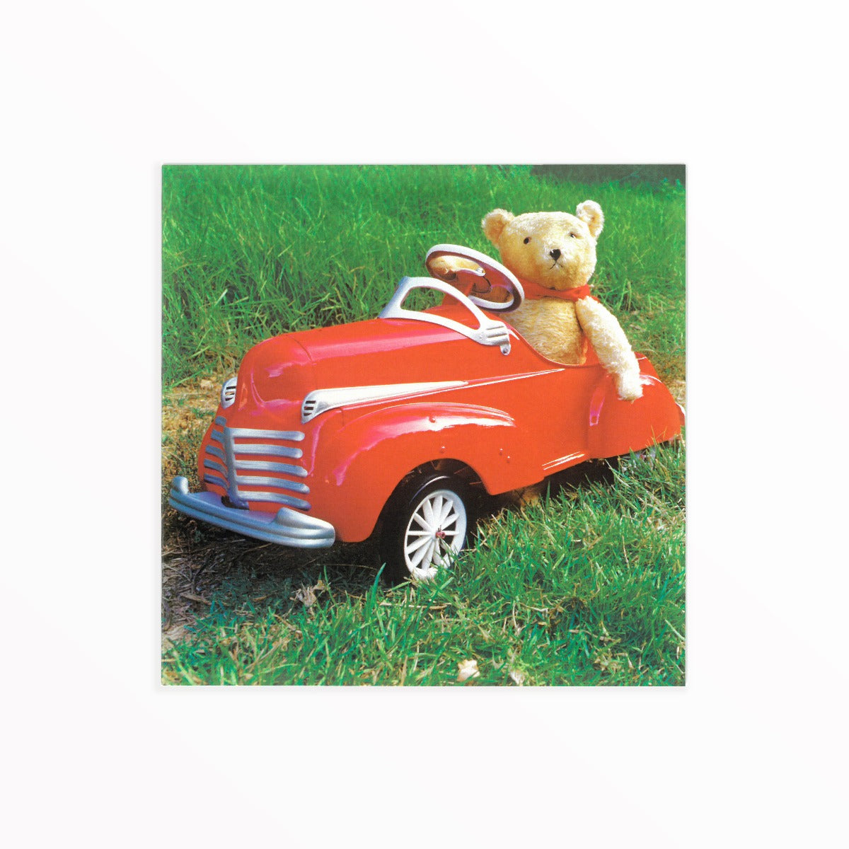 Blank Card Bear in Car (16cmx16cm)