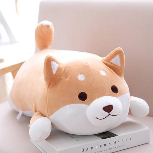 Chubby Shiba Inu