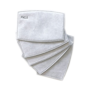 Face Mask Disposable Filters