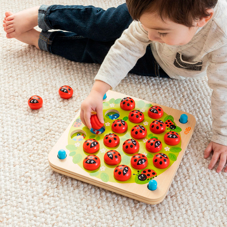 Ladybug's Garden Memory Game