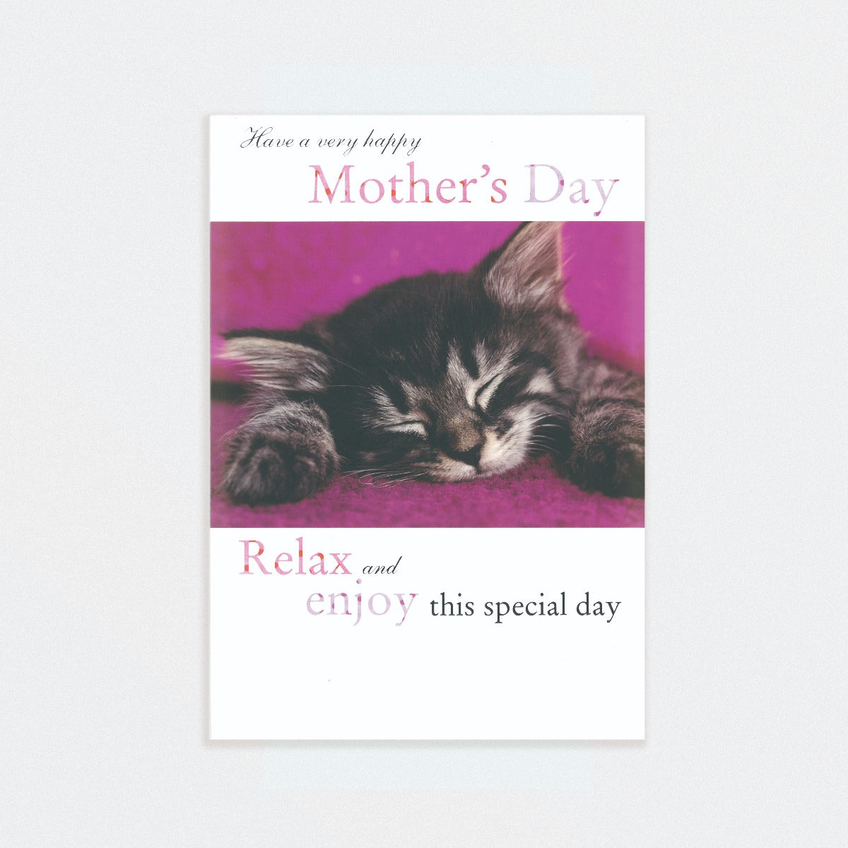 Mother's Day Cat