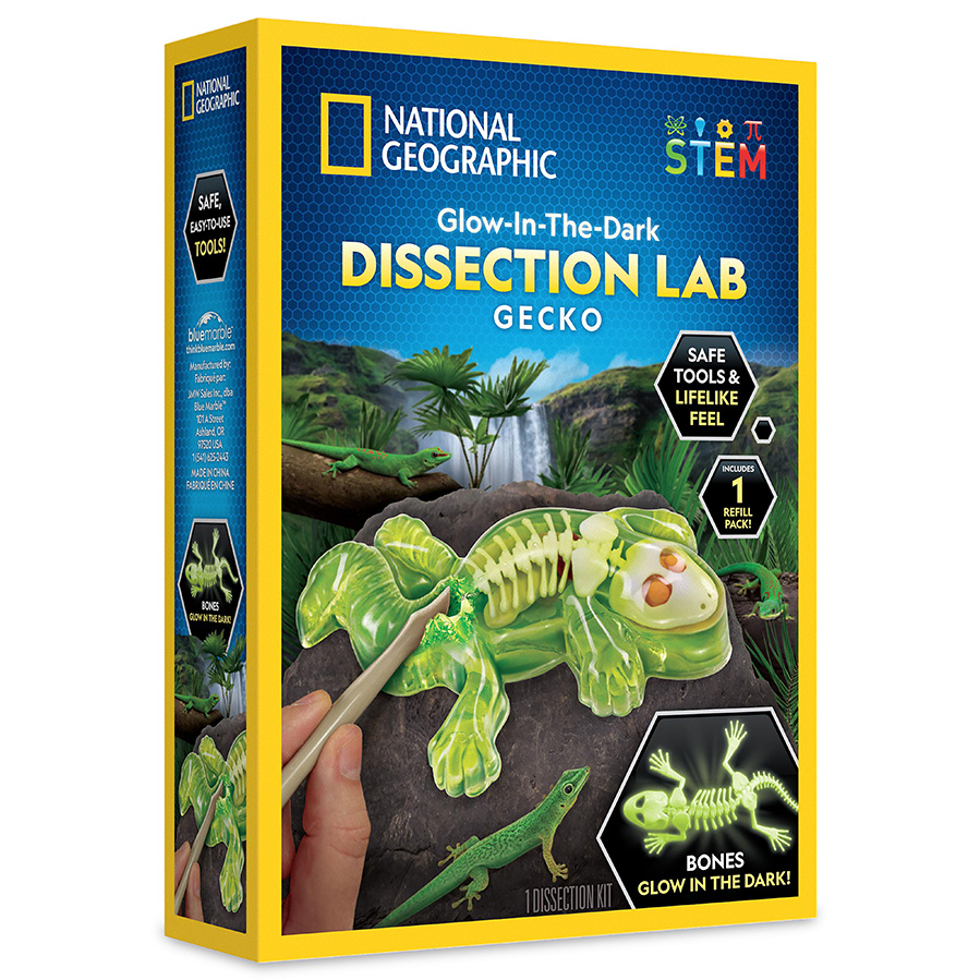 National Geographic Glow-in-the-Dark Gecko Dissection Lab