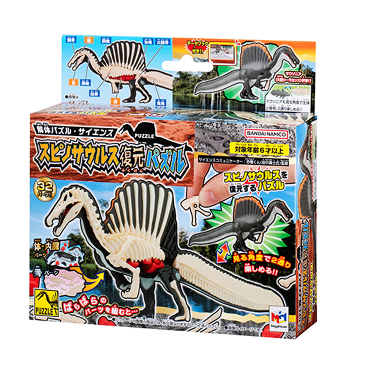 Spinosaurus Puzzle